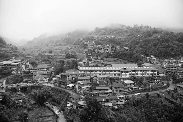 Terrace   field for  coultivation of rice — Stock Photo, Image