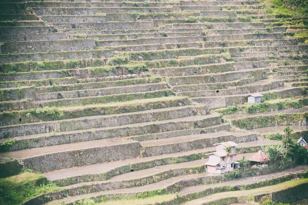 Champ terrasse pour la coultivation du riz — Photo