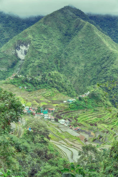 Terrassenfeld für Reisanbau — Stockfoto