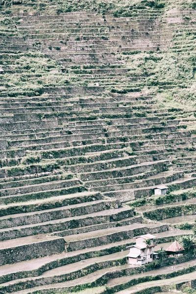 Campo de terraço para coultivação de arroz — Fotografia de Stock