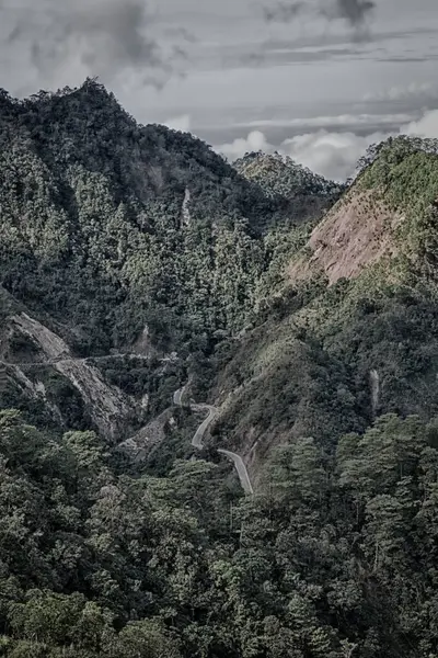   coultivation pirinç Teras alanı   