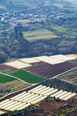 sera sebze yüksek coultivation 