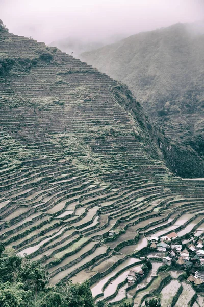 Campo de terraço para coultivação de arroz — Fotografia de Stock