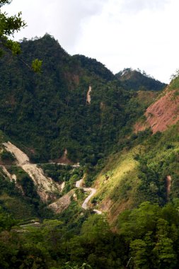   coultivation pirinç Teras alanı   