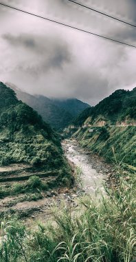   coultivation pirinç Teras alanı   