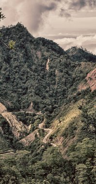   coultivation pirinç Teras alanı   