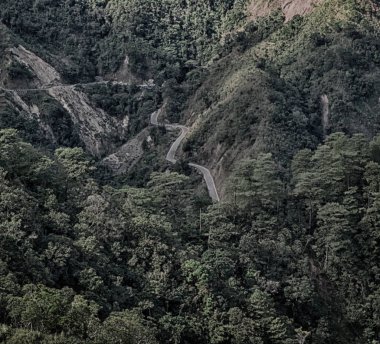   coultivation pirinç Teras alanı   