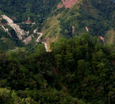   coultivation pirinç Teras alanı   