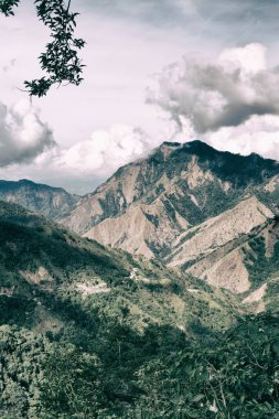   coultivation pirinç Teras alanı   