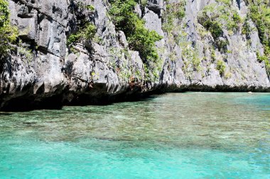  palm cliff beach ve rock bir tekneyle görüntülemek