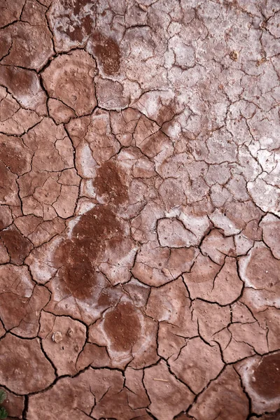 In the desert the dry ground — Stock Photo, Image