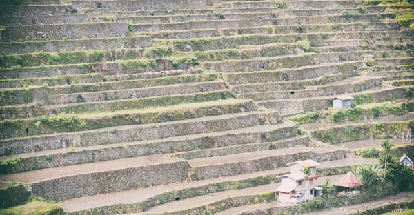 Campo de terraza para el coultivation de arroz —  Fotos de Stock