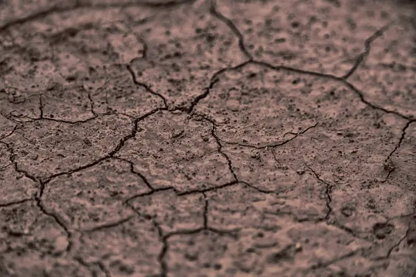 In the desert the dry ground — Stock Photo, Image