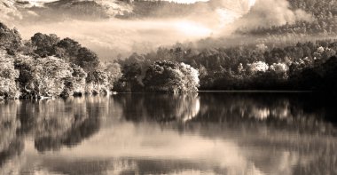  yaban hayatı kutsal ve onun göl