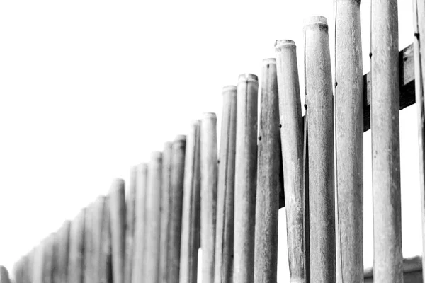 Em um céu nublado lotes bambu vara para cerca natural — Fotografia de Stock