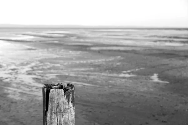 En la reserva natural y muelle de Sudáfrica —  Fotos de Stock