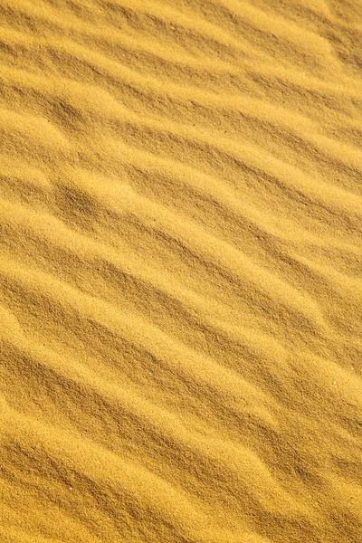 Den Bruna Sanddynen Sahara Morocco Öknen — Stockfoto