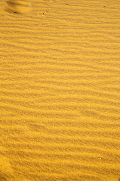 Hnědá Písečná Duna Poušti Sahara Morocco — Stock fotografie