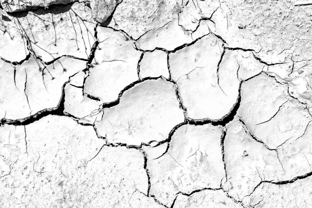 blur old desert and the abstract cracked sand texture  in oman    rub  al khali 