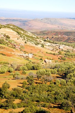 Dades vadide atlas Fas Afrika yere ağaç ve kimse