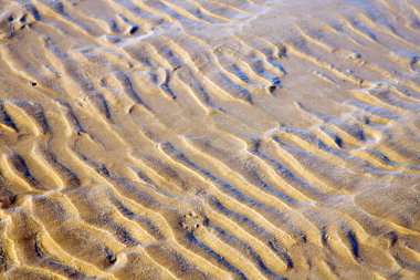 Fas Afrika kahverengi kıyı şeridi ıslak kum Beach Atlantik Okyanusu yakın