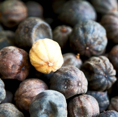  soyut desen kuru limon 