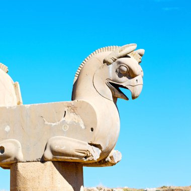 İran persepolis