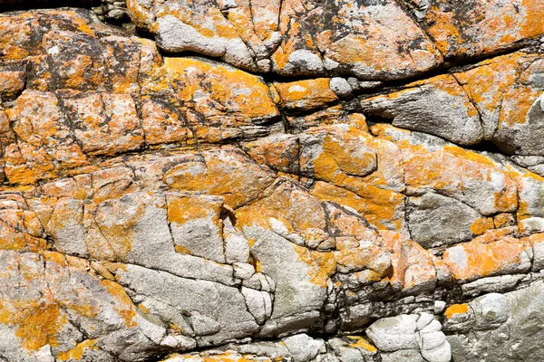 南アフリカ共和国のぼかしは海岸線のクローズ アップ石抽象的なテクスチャ背景 — ストック写真
