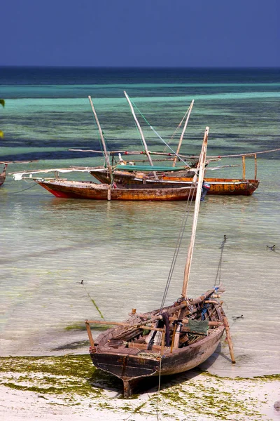 Costline Lodi Pirague Modré Laguně Uvolnit Zanzibaru Afric — Stock fotografie