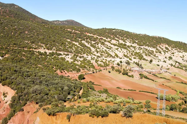 Atlas Marokkó Afrika Talajt Tree Senki Sem Dades Völgy — Stock Fotó