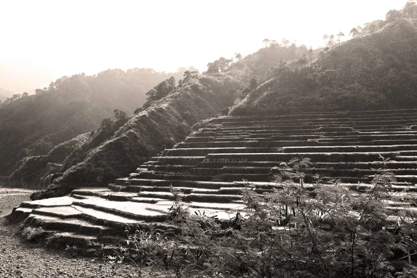 Borrão Campo Terraço Filipinas Para Coultivation Arroz Site Unesco Banaue — Fotografia de Stock