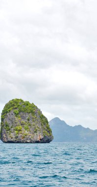  Tekne ve Pasifik Okyanusu görünümünden