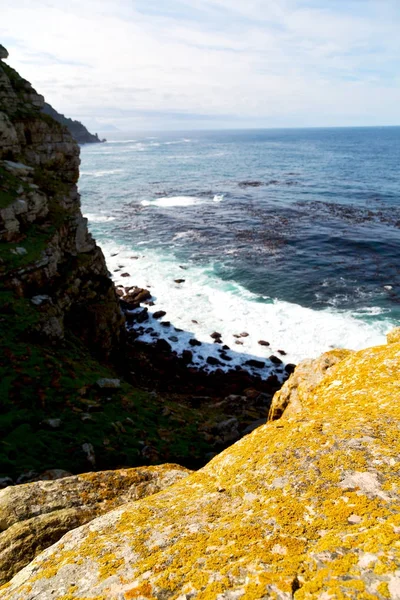 In costa sudafricana e riserva naturale del parco — Foto Stock