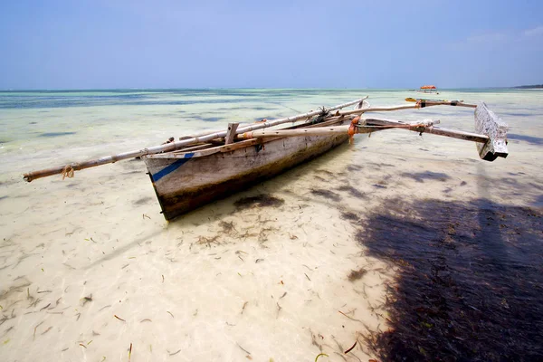 Zanzibar mavi lagün sakin Afrika kıyı şeridi — Stok fotoğraf