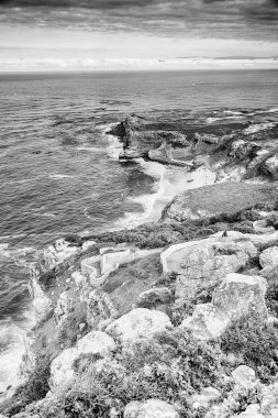   Güney Afrika kıyı şeridi ve doğal park rezerv