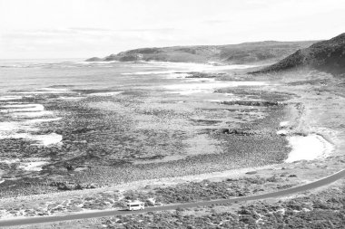   Güney Afrika kıyı şeridi ve doğal park rezerv