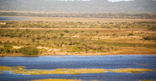 Na África do Sul lagoa lago reserva natural e arbusto — Fotografia de Stock