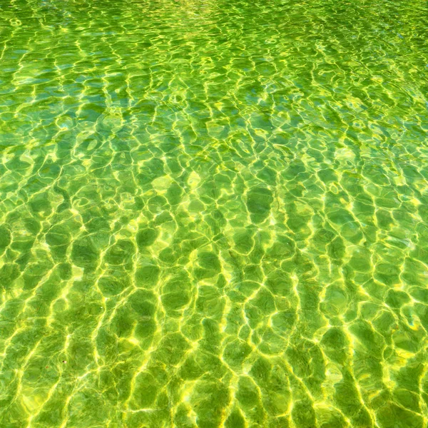 Na piscina natual — Fotografia de Stock