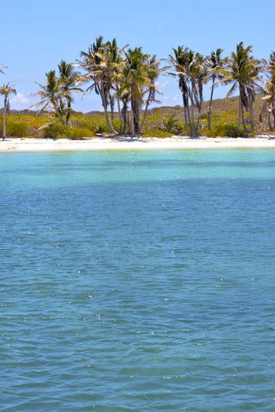 Isla contoy mexico froath et mousse bleue le — Photo