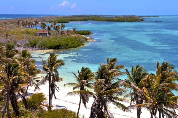 Isla contoy sand mexiko schäumen tropfen sonnige welle — Stockfoto