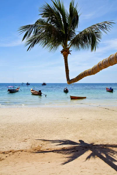 Insel Asien in kho phangan thailand bay beach pirogue — Stockfoto