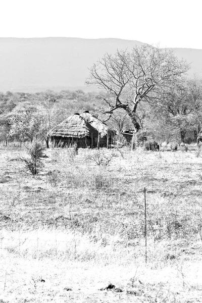 V ulici lesotho vesnici nedaleko nádvoří — Stock fotografie