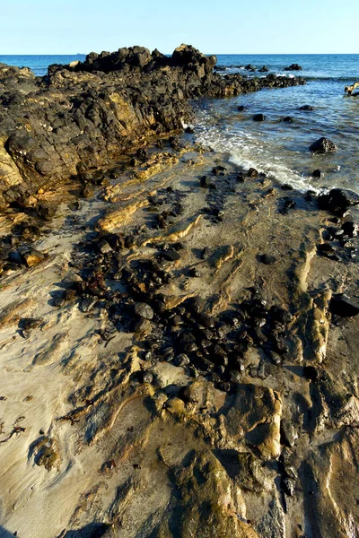 Alga marina e roccia della spiaggia di madagvania andilana — Foto Stock