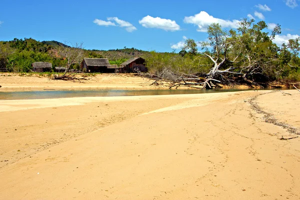 Playa entrometida algas río océano Índico —  Fotos de Stock