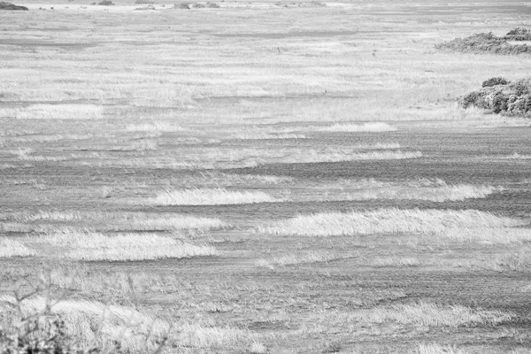 Blur South Africa Pond Lake Isimagaliso Nature Reserve Bush — Stock Photo, Image