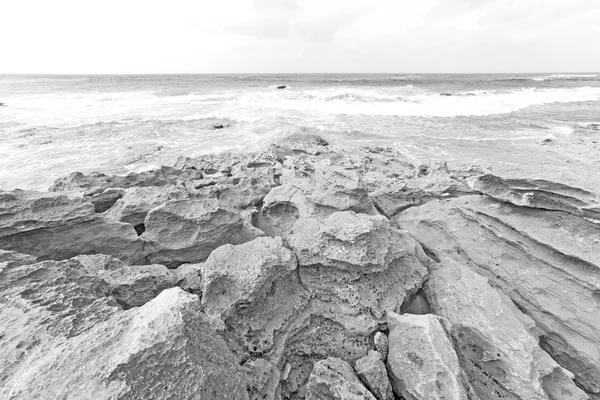 In south africa   sky ocean  nature    reserve — Stock Photo, Image