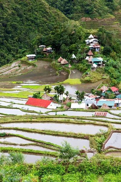 Terrace   field for  coultivation of rice — Stock Photo, Image