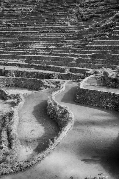 Campo de terraza para el coultivation de arroz — Foto de Stock