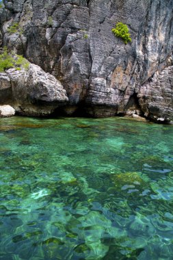Asya kho phangan Adaları ve Güney Çin Denizi yeşil  