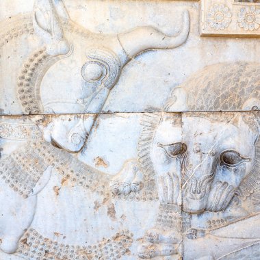 İran persepolis